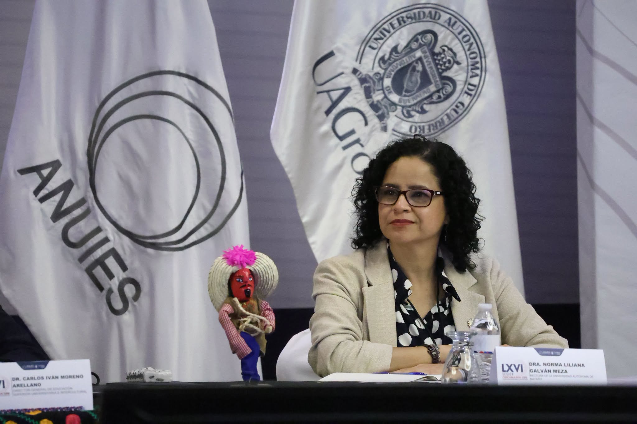 Rectora de la UAN participa en sesión del CUPIA en Guerrero